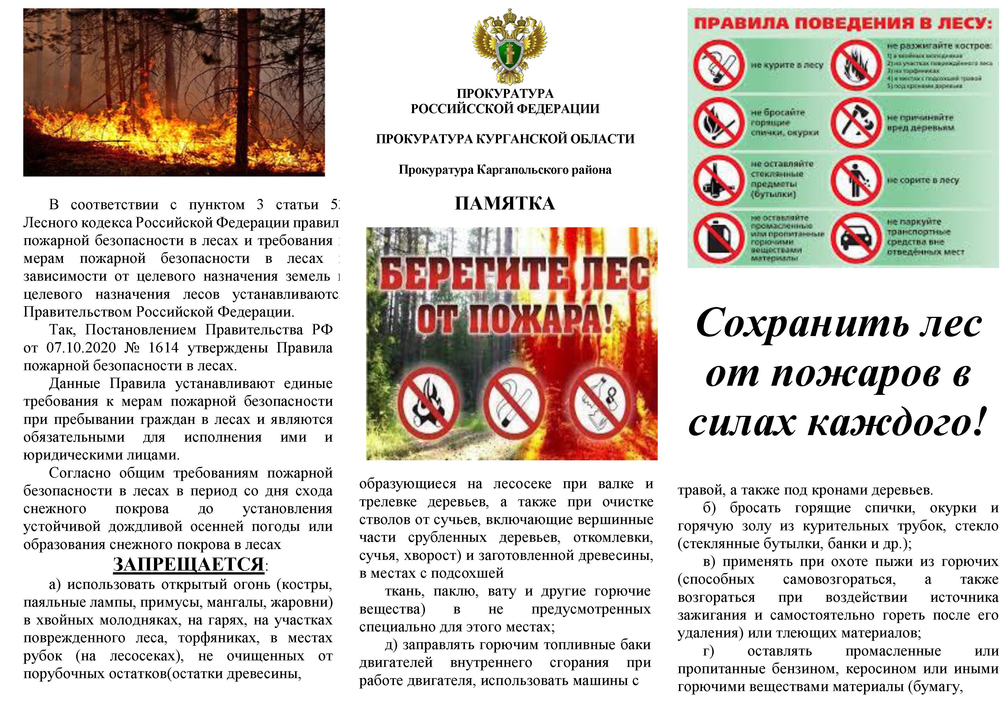 Прокуратура Каргапольского района разъясняет положения законодательства Российской Федерации в сфере пожарной безопасности.