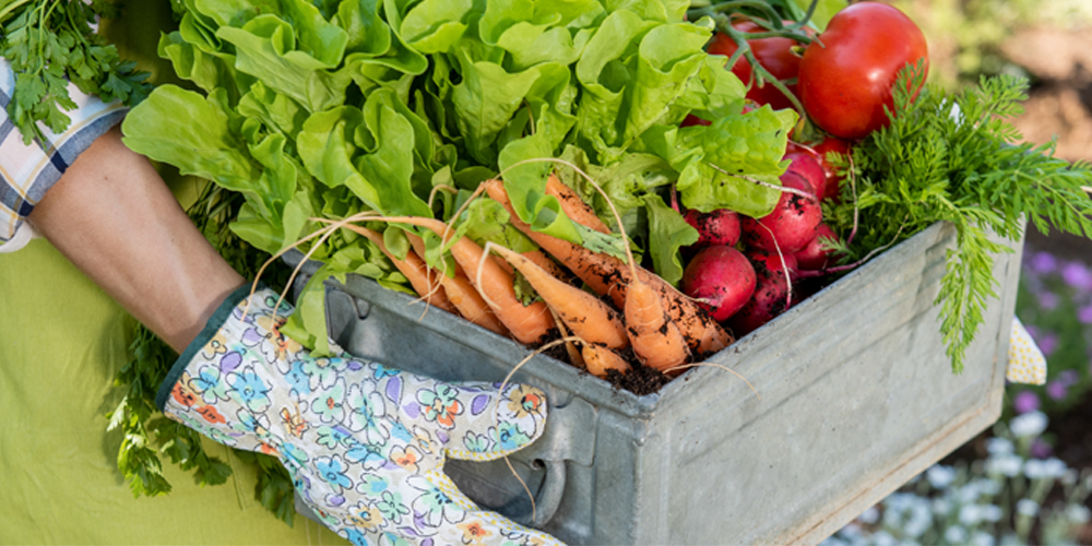 РСХБ: россияне идут на рекорд по потреблению овощей – за пять лет у граждан сформировались здоровые пищевые привычки.