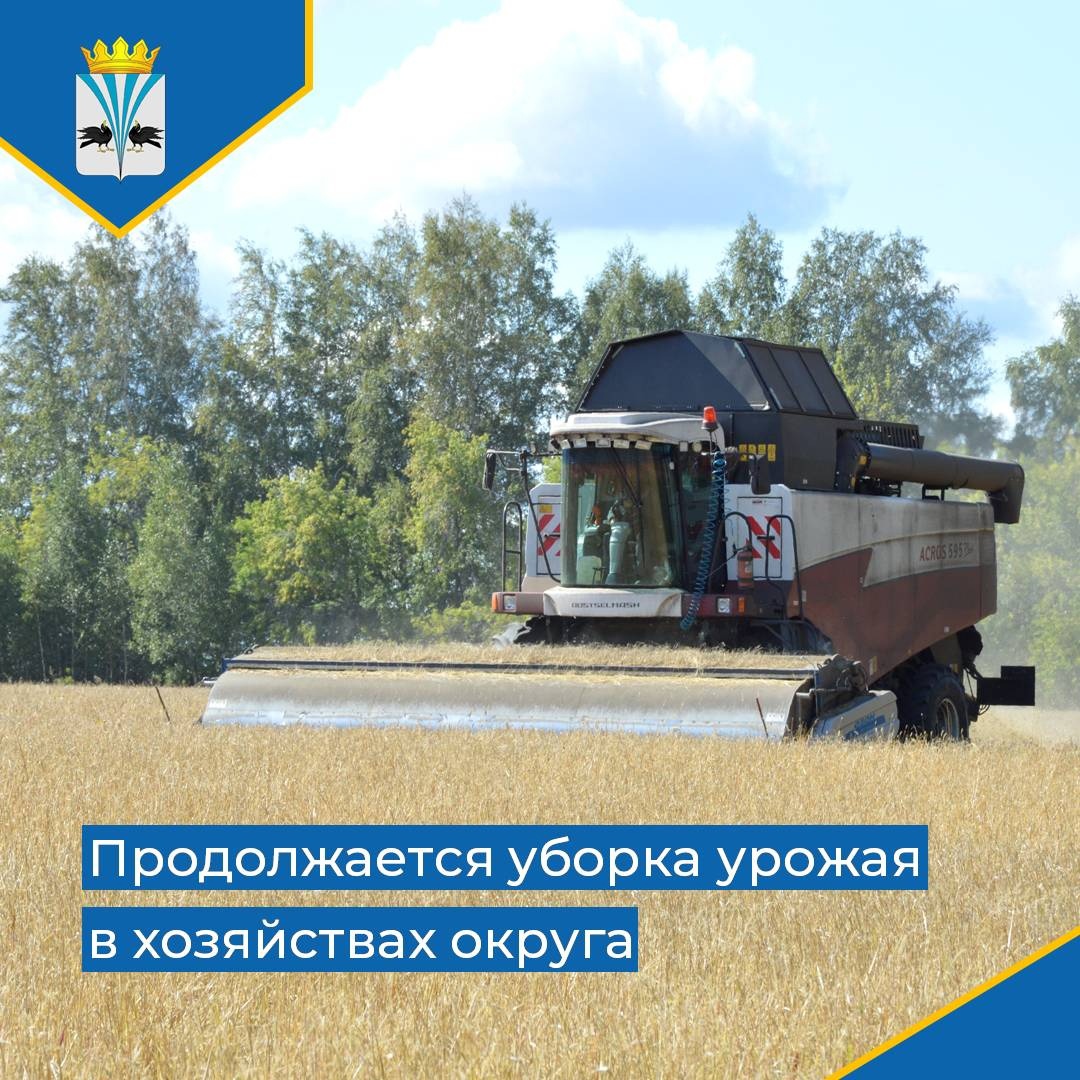 Продолжается уборка урожая в хозяйствах Каргапольского муниципального округа.
