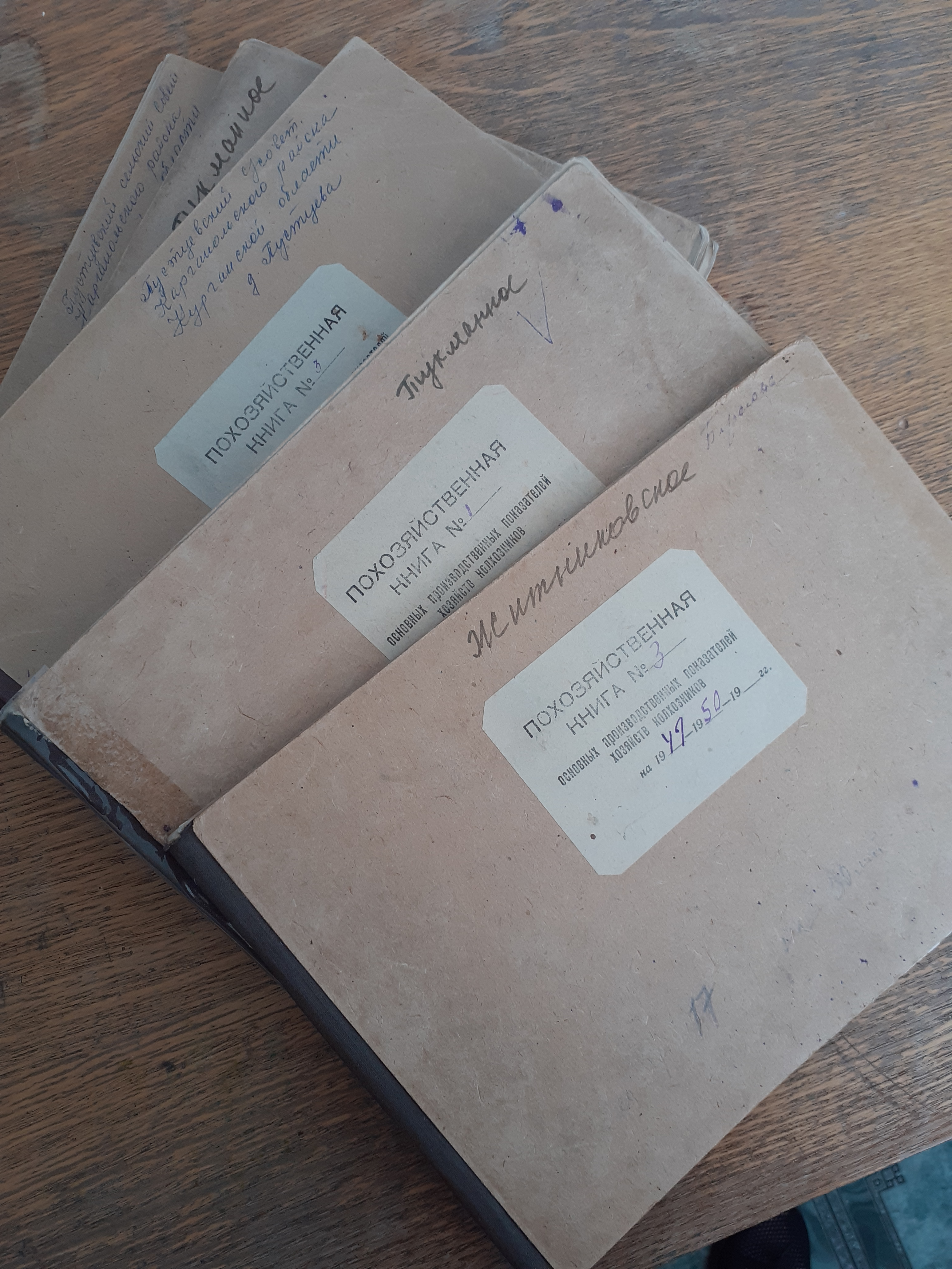 В Каргапольском муниципальном архиве на хранении находятся похозяйственные книги сельсоветов.