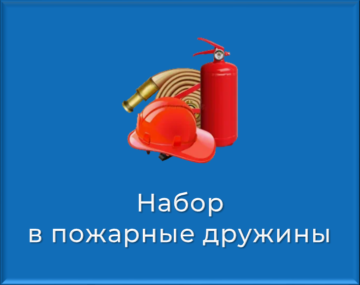 Запишись в добровольную дружину!.